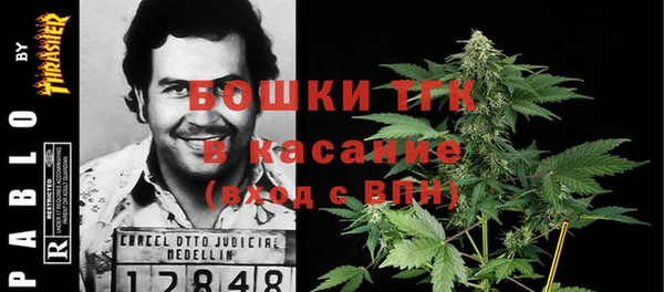 apvp Иннополис
