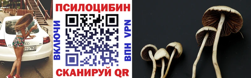 наркотики  Давлеканово  Галлюциногенные грибы GOLDEN TEACHER 