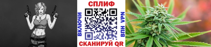 Бошки Шишки семена  цена наркотик  Давлеканово 